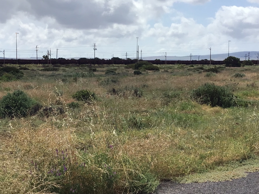 0 Bedroom Property for Sale in Vredenburg Rural Western Cape